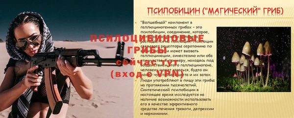 бутират Лабытнанги