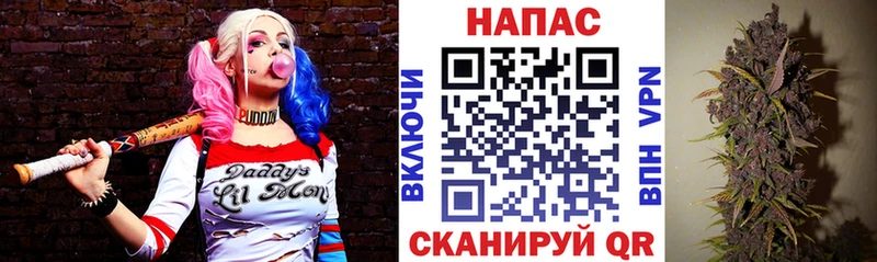 Купить где  Берёзовка  Бошки марихуана MAZAR 